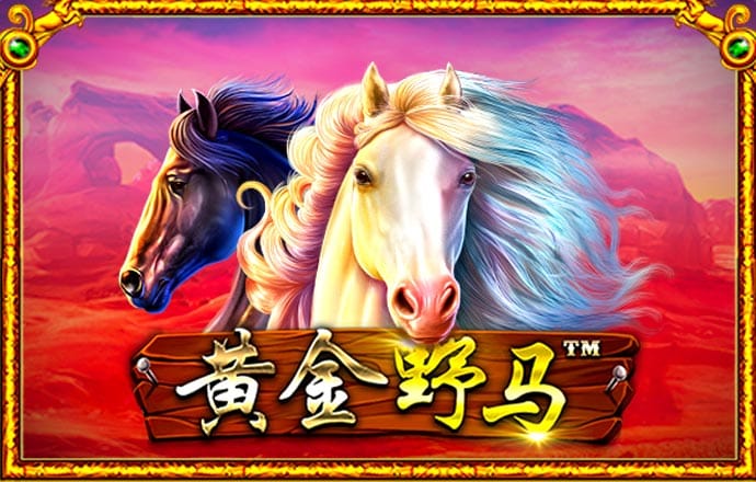 加拿大28试玩平台